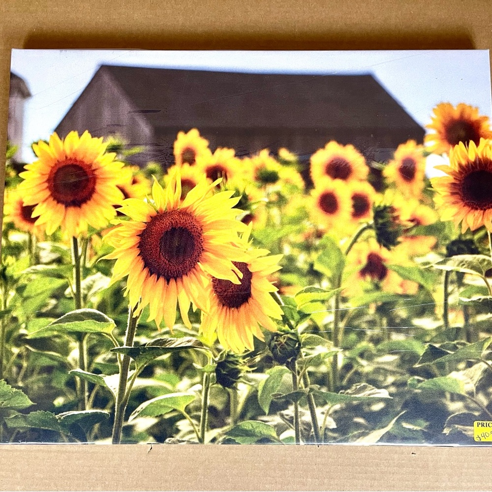 Original 16 X 20 Canvas Print